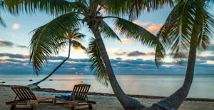 Tranquil Beach With Majestic Palm Trees Wallpaper