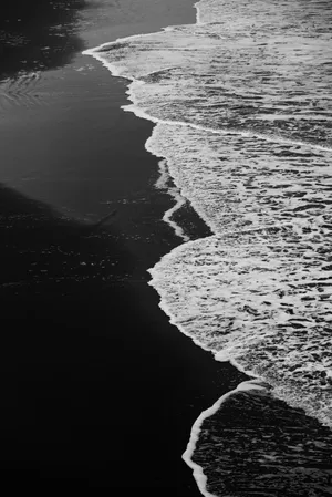 Tranquil Black And White Beach Wallpaper