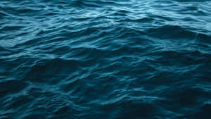 Tranquil_ Blue_ Ocean_ Texture Wallpaper