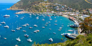 Tranquil California Island Sunset Wallpaper