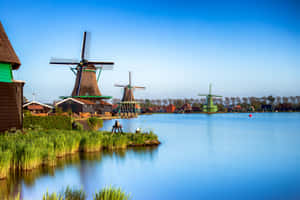 Tranquil Dutch Windmills Waterfront Wallpaper