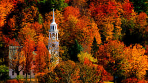 Tranquil Fall Cityscape Wallpaper