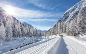 Tranquil Icy Road Surrounded By Snow-covered Trees Wallpaper