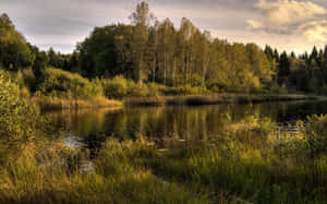 Tranquil Lake Arendal Norway Wallpaper