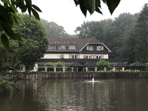 Tranquil Lakefront Restaurant Venlo Wallpaper