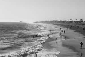 Tranquil Moments At The Black And White Beach Wallpaper