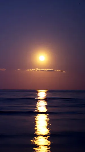 Tranquil_ Moonrise_ Over_ Water.jpg Wallpaper
