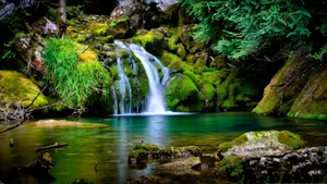 Tranquil Nature Scenery Wallpaper