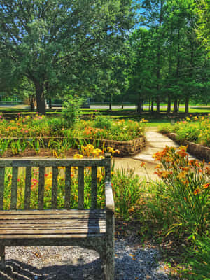 Tranquil Park Bench Pathway Wallpaper