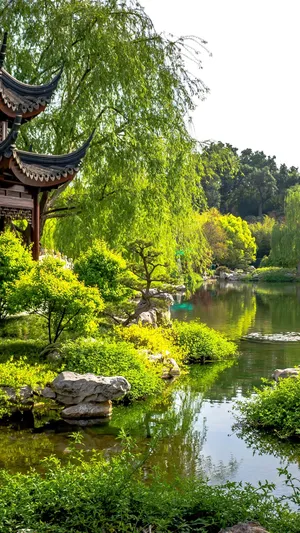 Tranquil Path In A Botanical Garden Wallpaper