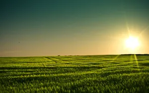 Tranquil Rural Landscape Wallpaper