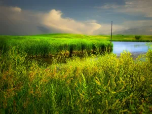 Tranquil Rural Landscape At Dawn Wallpaper