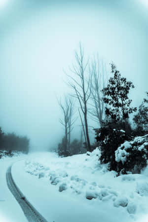 Tranquil Snow-covered Road Wallpaper