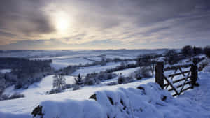 Tranquil Snowy Landscape Wallpaper