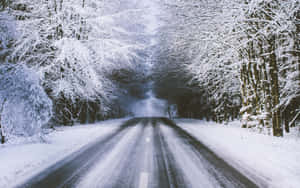 Tranquil Snowy Road Wallpaper