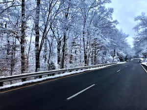 Tranquil Snowy Road Surrounded By Trees Wallpaper