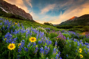 Tranquil Spring Meadow Wallpaper