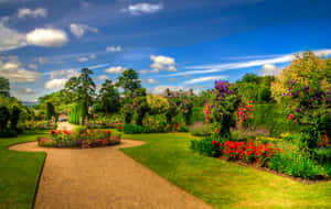 Tranquil Spring Park Wallpaper