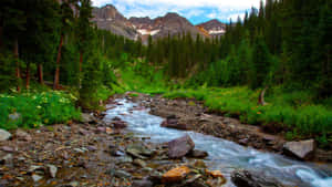 Tranquil Spring River Scenery Wallpaper