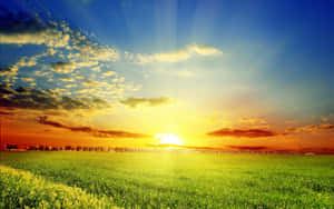 Tranquil Spring Sunrise Wallpaper