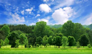 Tranquil Summer Landscape With Green Fields And Blue Sky Wallpaper