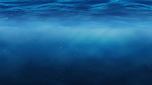 'tranquil Underwater Scene' Wallpaper