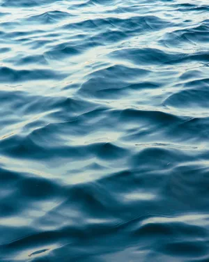 Tranquil Water Patterns.jpg Wallpaper