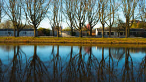 Tranquil Waterfront Reflections Oosterhout Wallpaper