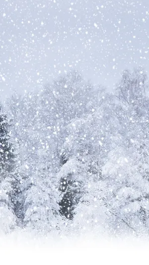 Tranquil Winter Wonderland For Iphone 6 Plus Wallpaper