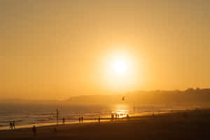 Tranquil Yellow Beach At Sunset Wallpaper