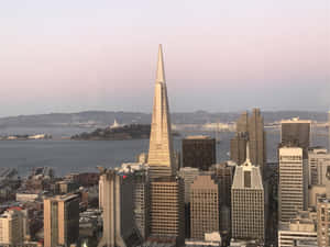 Transamerica Pyramid Standing Out Wallpaper