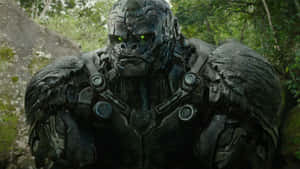 Transformers Rise Of The Beasts Character Wallpaper