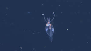 Transparent Glass Squid In Deep Sea Wallpaper