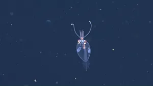 Transparent Glass Squid In Deep Sea Wallpaper