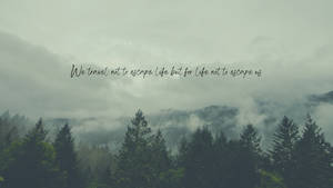 Travel To Escape Quote Sage Green Desktop Wallpaper