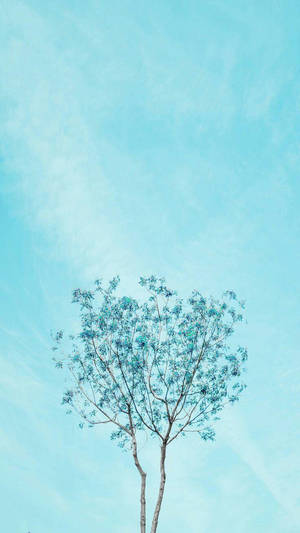 Tree Light Blue Aesthetic Iphone Wallpaper