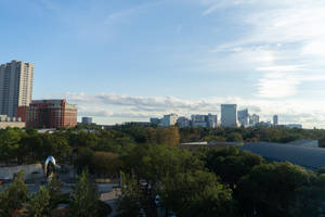 Trees And Buildings Houston Texas Wallpaper