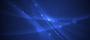 Trees And Sunsets In Red Wallpaper