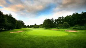 Trees Around The Golf Wallpaper