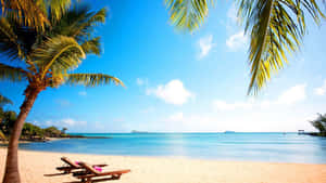 Trees Beach Dual Monitor Wallpaper