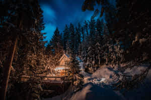 Trees Blanketed In Snow On A Festive Winter's Eve Wallpaper