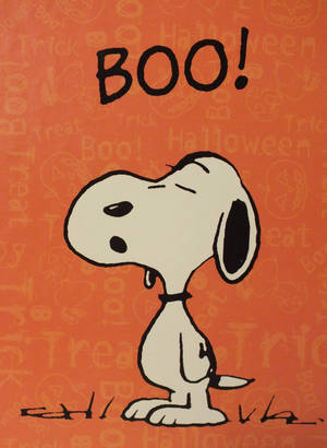 Trick Or Treat! Snoopy Is Ready For Halloween Wallpaper