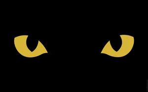 Trick Or Treat? This Black Cat Is Ready For Halloween! Wallpaper