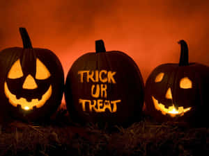 Trick-or-treaters Dress Up For A Spooky Night Of Fun! Wallpaper