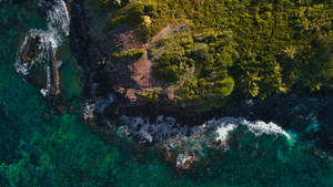 Trinidad And Tobago Coastline Wallpaper