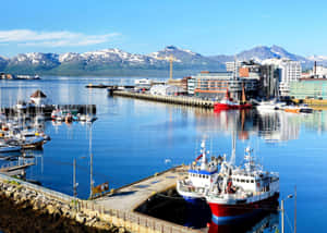 Tromso Norway Harbor Sunny Day Wallpaper