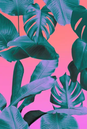 Tropical Aesthetic Extremely Huge Wallpaper