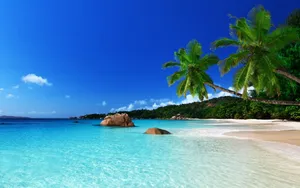 Tropical Anse Lazio Beach Wallpaper