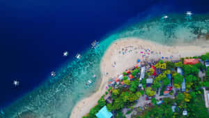 Tropical Beach Aerial View Wallpaper