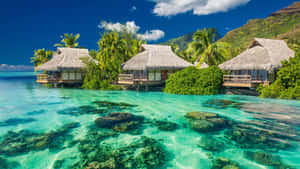 Tropical Beach Cottages Wallpaper